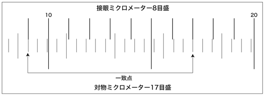 接眼ミクロメーターの校正：画像