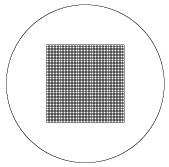 Grid Scale: R1161 (10/50 x 50) H: Drawing