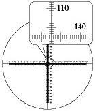 Cross Line with horizontal and vertical scale: R1310 (25/250) XY: Drawing